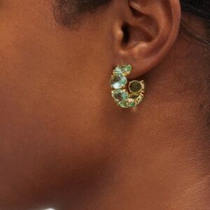 Roxanne Assoulin The Royals Hoop Earrings NWT